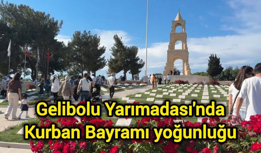 Gelibolu Yarımadası'nda Kurban Bayramı yoğunluğu