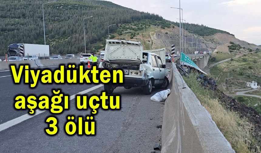 Viyadükten aşağı uçtu 3 ölü (Video)