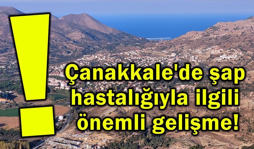 Çanakkale'de şap hastalığıyla ilgili önemli gelişme!