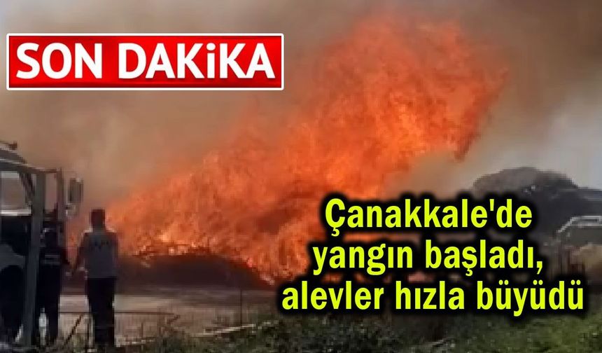 Çanakkale'de yangın başladı, alevler hızla büyüdü