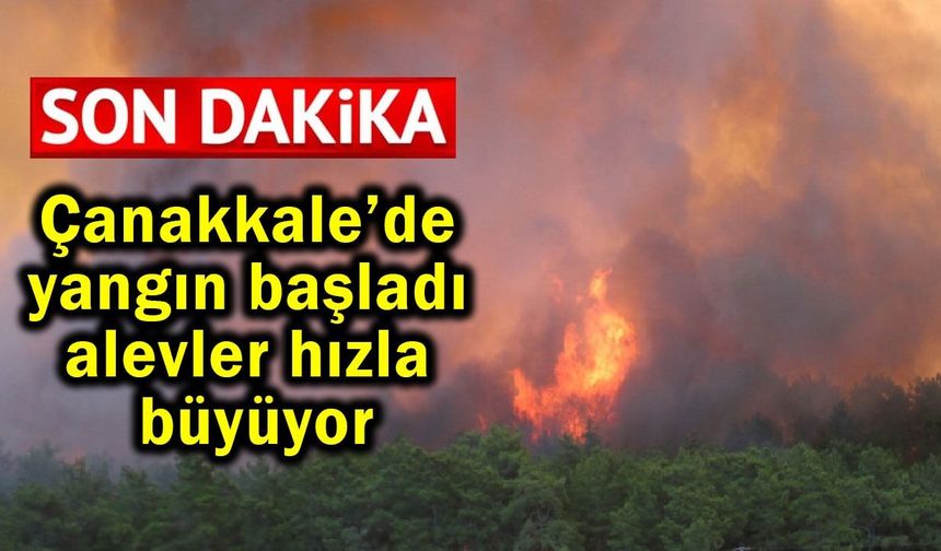 Çanakkale’de yangın başladı, alevler hızla büyüyor