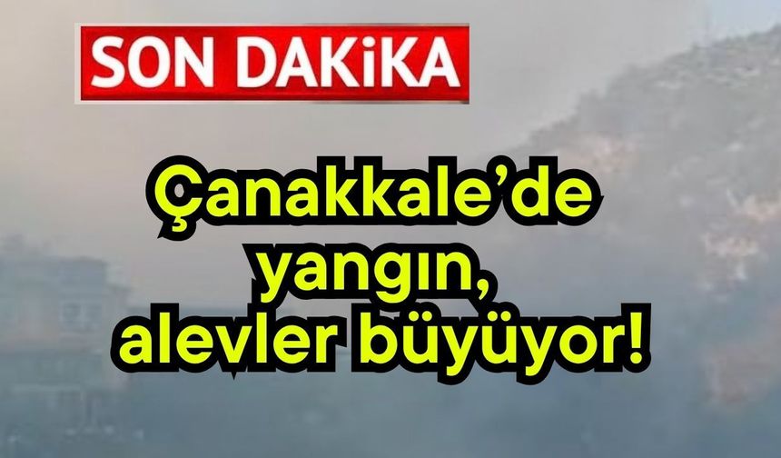 Çanakkale’de yangın, alevler büyüyor!