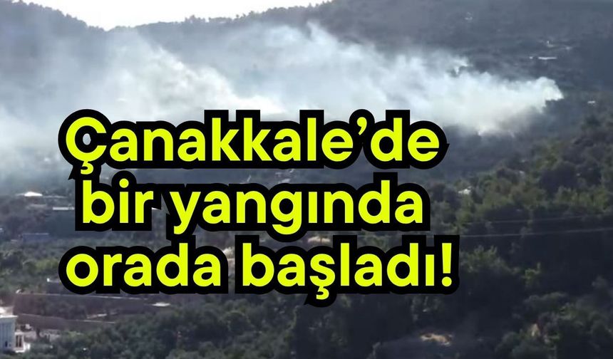 Çanakkale’de bir yangında orada başladı!