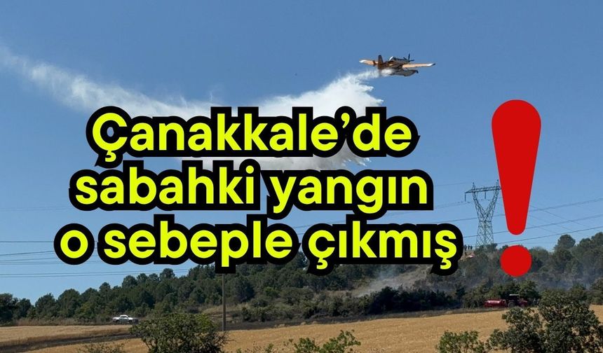 Çanakkale’de sabahki yangın o sebeple çıkmış! (Video)