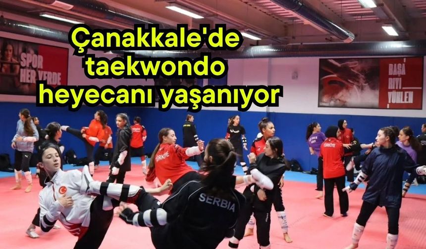 Çanakkale'de taekwondo heyecanı yaşanıyor