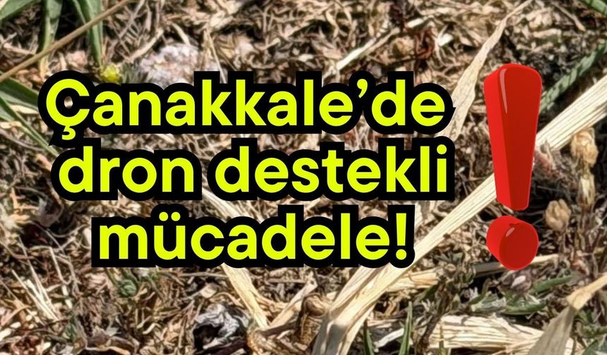 Çanakkale’de dron destekli mücadele!