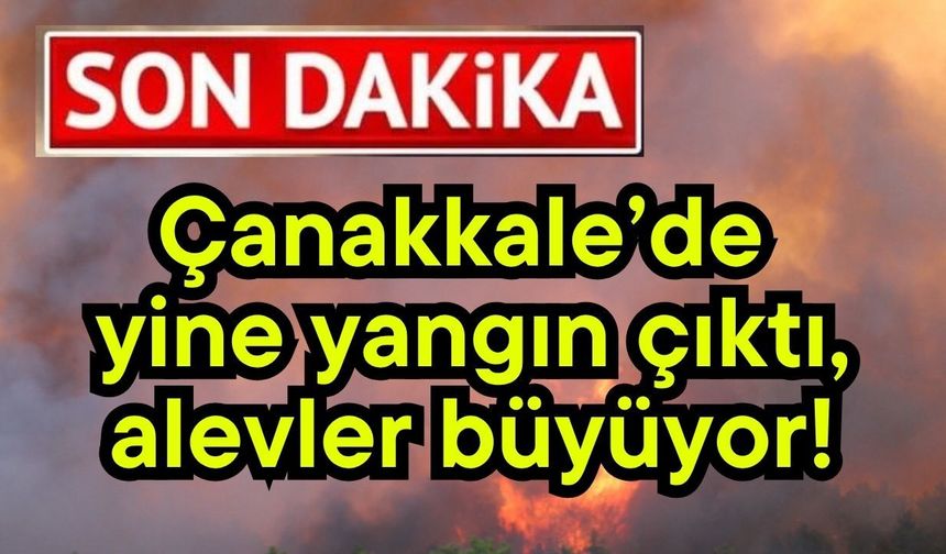 Çanakkale’de yine yangın çıktı, alevler büyüyor!