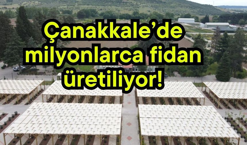 Çanakkale’de milyonlarca fidan üretiliyor!