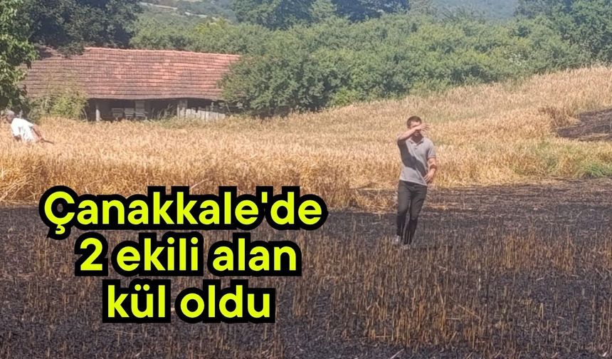 Çanakkale'de 2 ekili alan kül oldu
