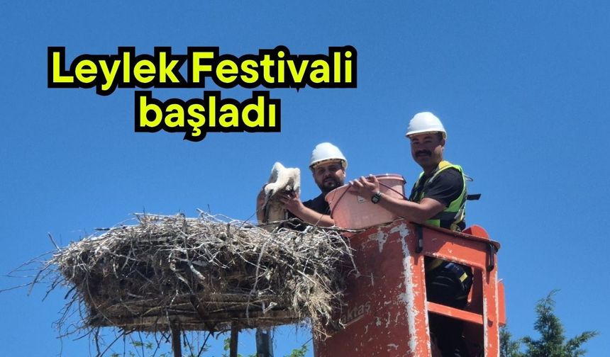 Leylek Festivali başladı (Video)