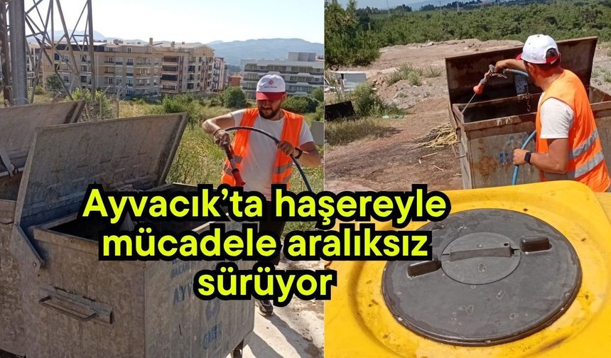 Ayvacık’ta haşereyle mücadele aralıksız sürüyor