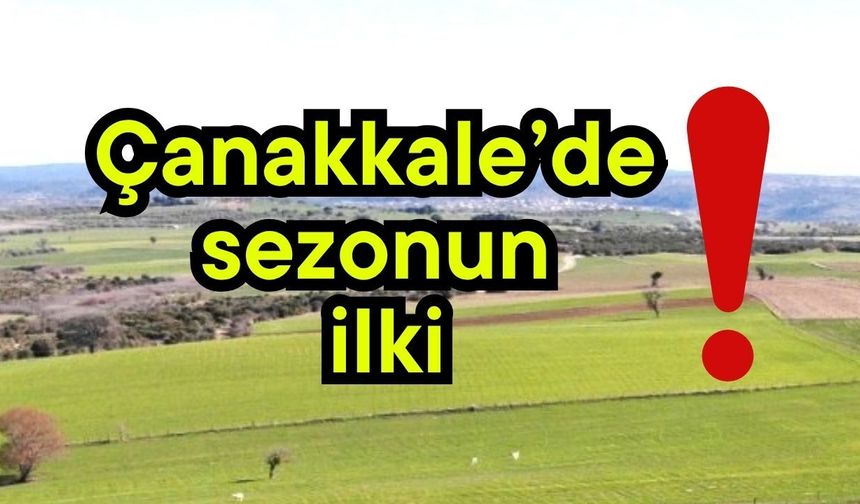 Çanakkale’de sezonun ilki!