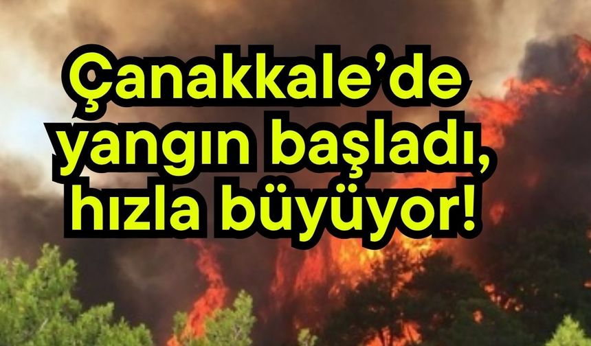 Çanakkale’de yangın başladı, hızla büyüyor! (Video)