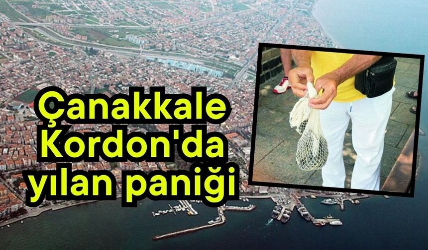 Çanakkale Kordon'da yılan paniği