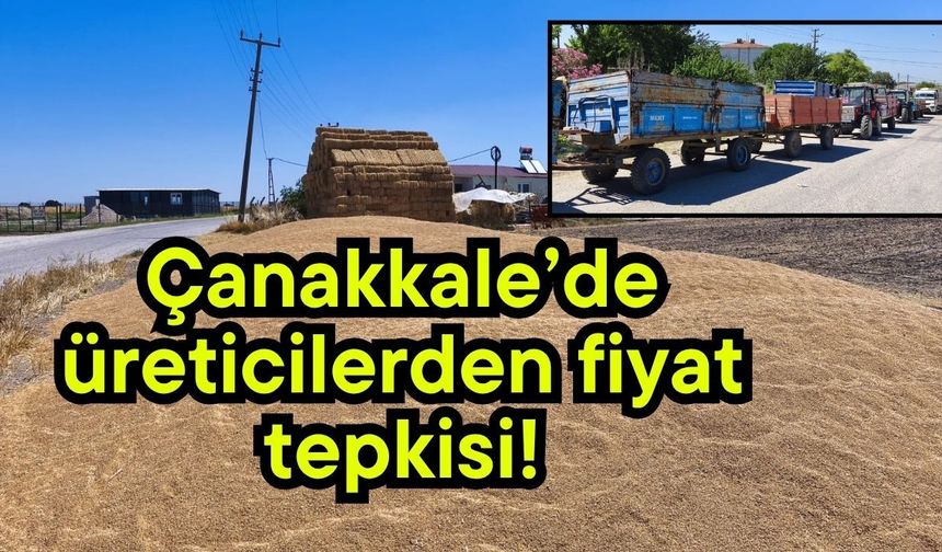 Çanakkale’de üreticilerden fiyat tepkisi! (Video)