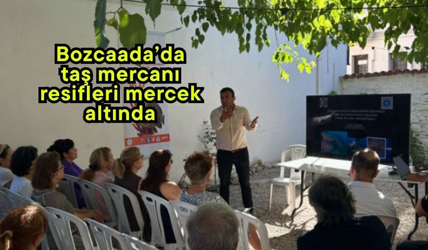Bozcaada’da taş mercanı resifleri mercek altında
