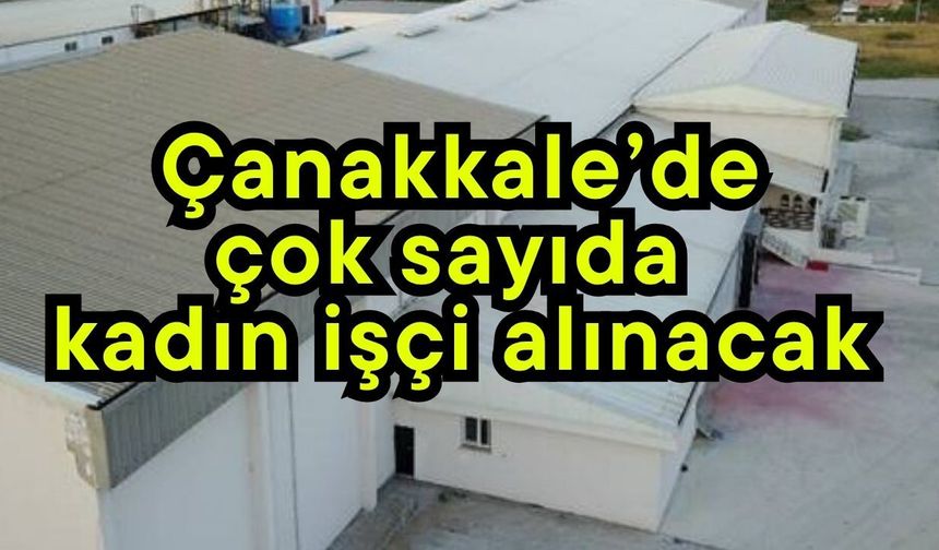 Çanakkale'de çok sayıda kadın işçi alınacak