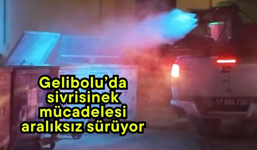 Gelibolu’da sivrisinek mücadelesi aralıksız sürüyor