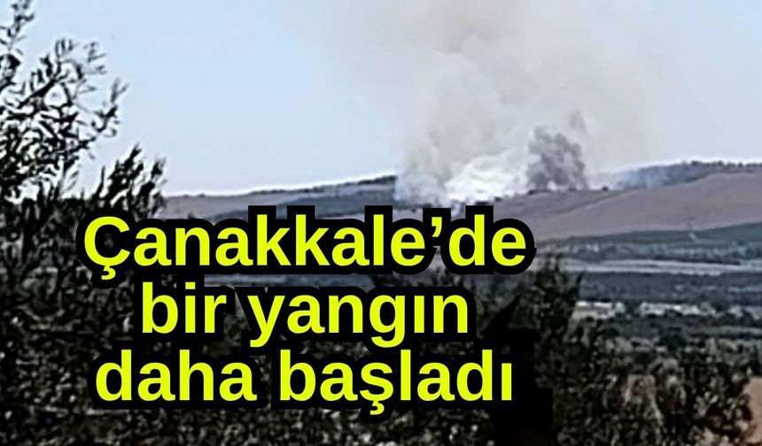 Çanakkale’de bir yangın daha başladı