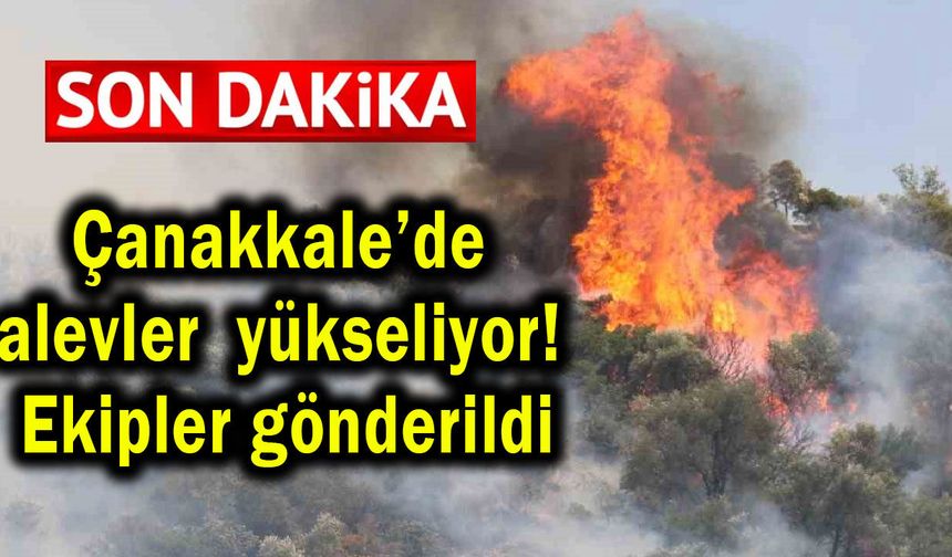 Çanakkale’de alevler yükseliyor! Ekipler gönderildi