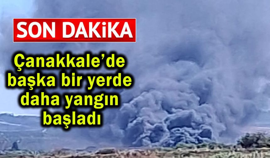 Çanakkale’de başka  bir yerde daha yangın başladı