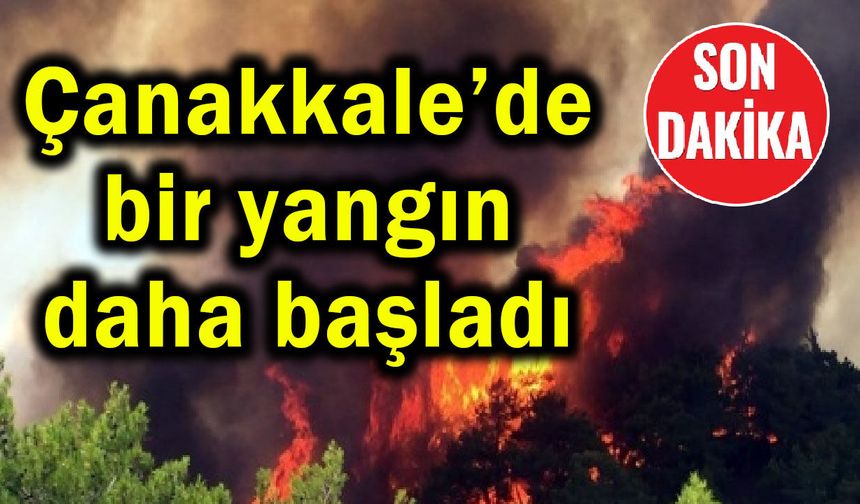 Çanakkale’de bir yangın daha başladı