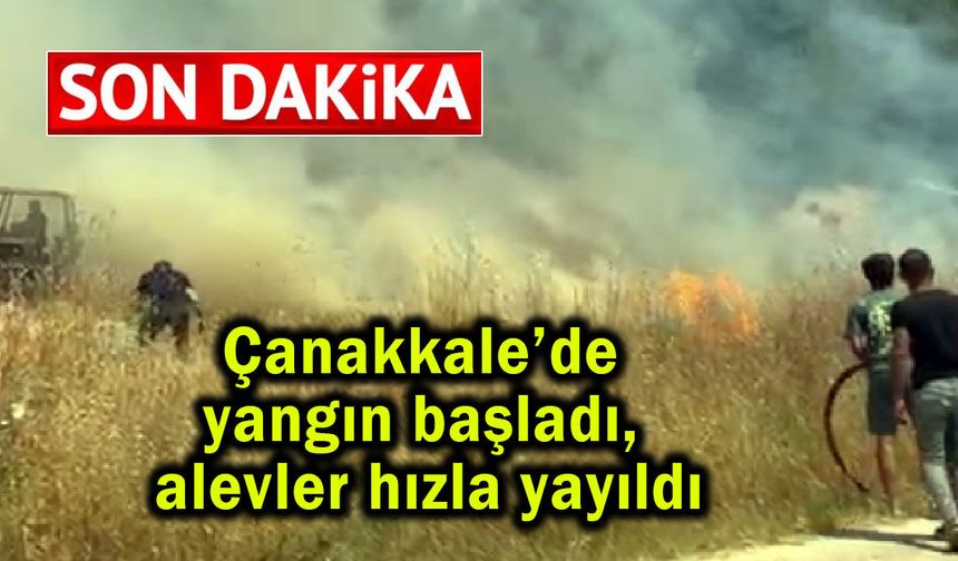 Çanakkale’de yangın başladı, alevler rüzgarla yayıldı