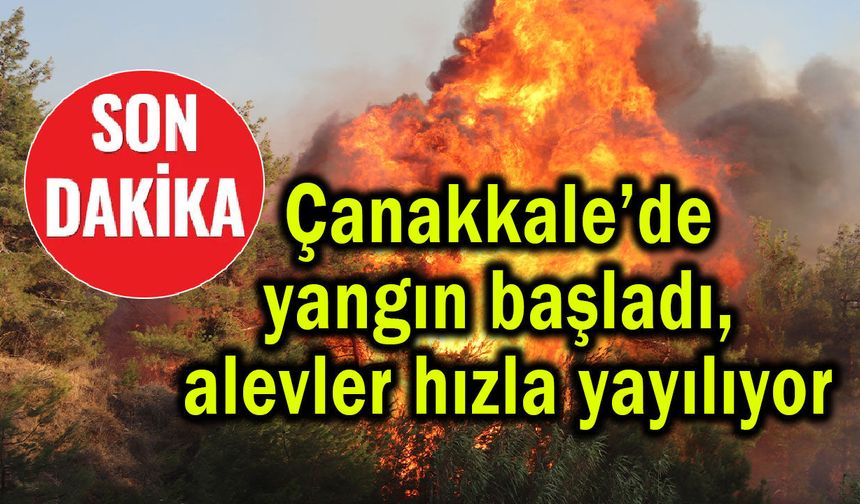 Çanakkale’de yangın başladı, alevler hızla yayılıyor