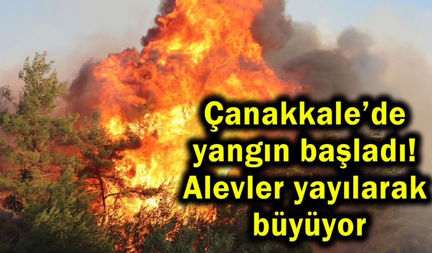 Çanakkale’de yangın başladı! Alevler yayılarak büyüyor