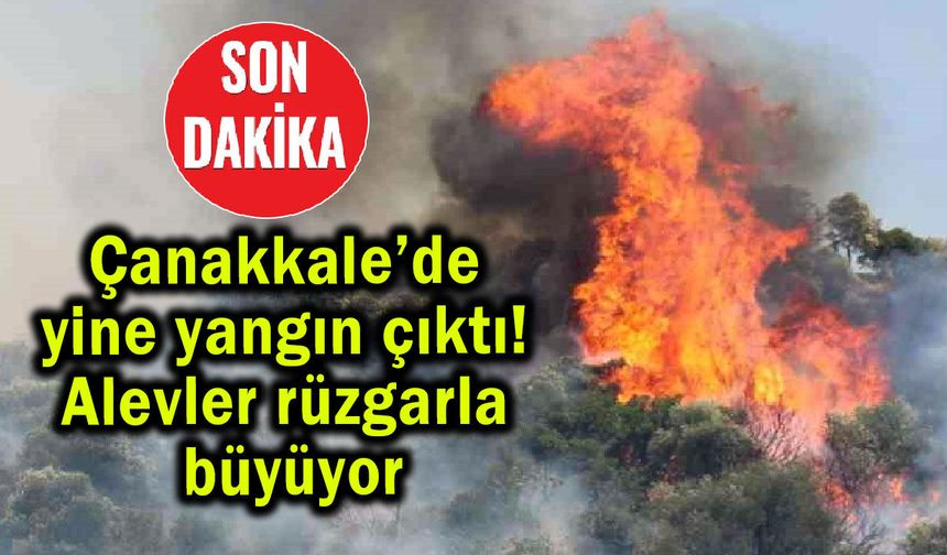 Çanakkale’de yine yangın çıktı! Alevler rüzgarla büyüyor