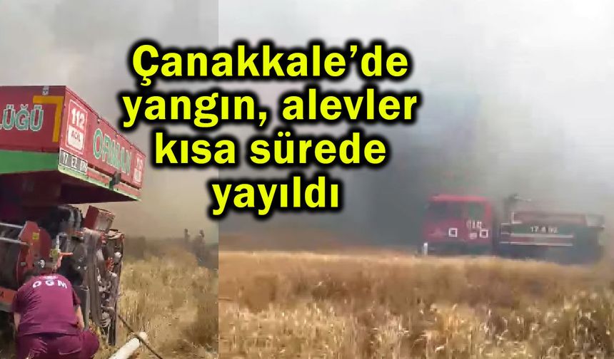 Çanakkale’de yangın, alevler kısa sürede yayıldı