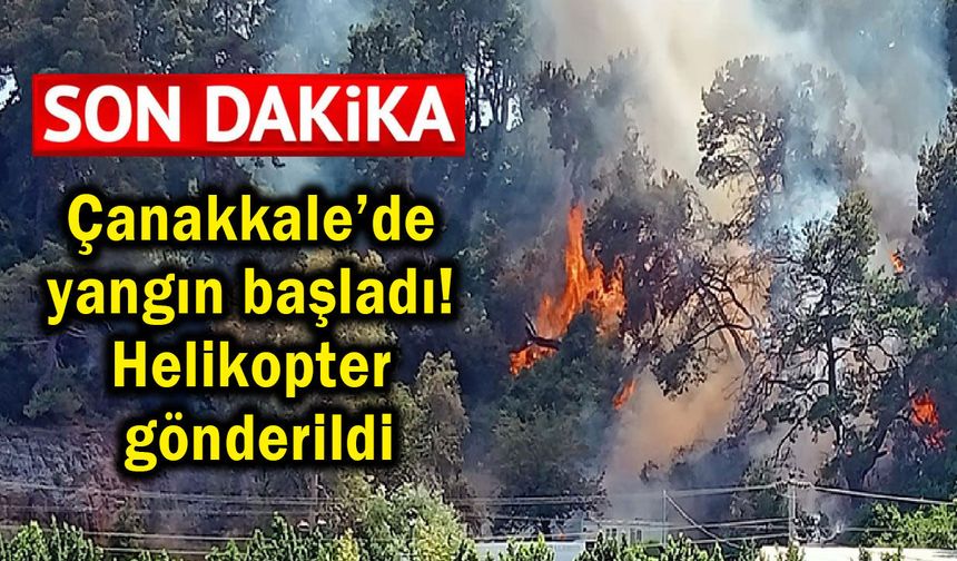 Çanakkale’de yangın başladı! Helikopter gönderildi