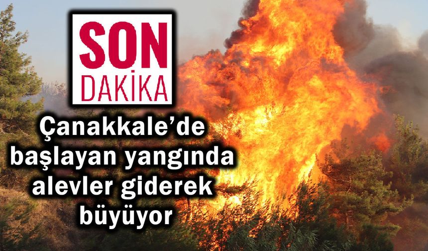 Çanakkale’de başlayan yangında alevler büyüyor