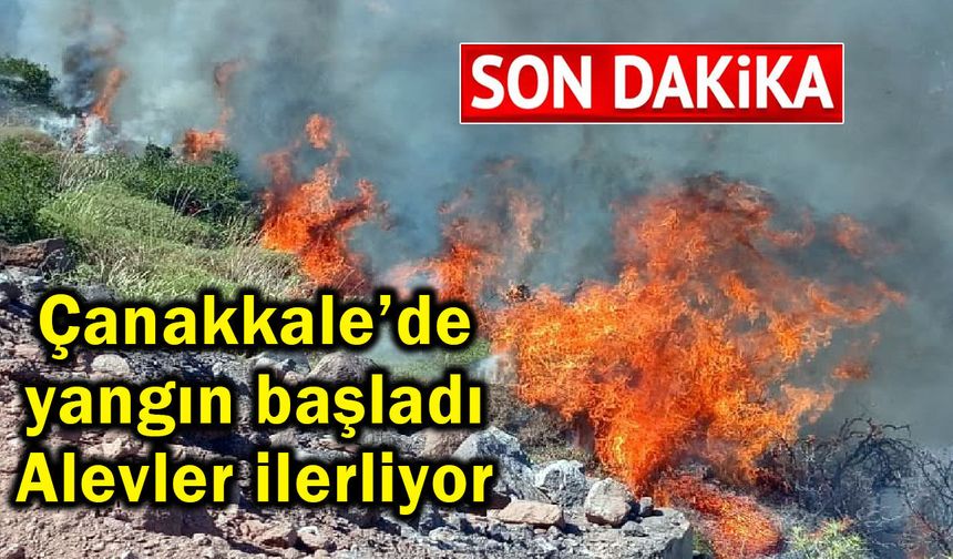 Çanakkale’de yangın başladı, alevler ilerliyor