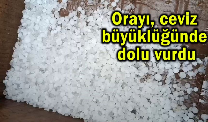 Ceviz büyüklüğünde dolu vurdu (Video)