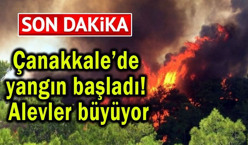Çanakkale’de yangın başladı, alevler büyüyor!