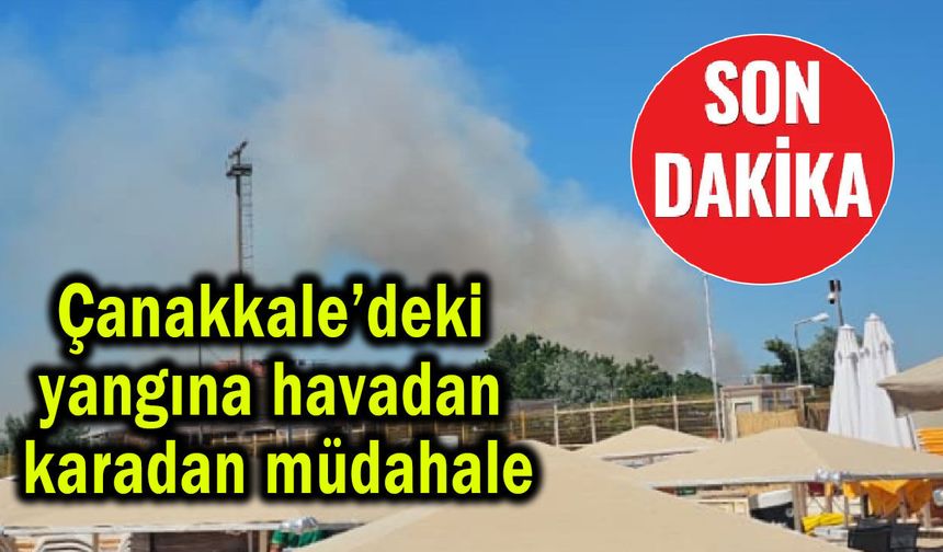 Çanakkale’deki yangına havadan karadan müdahale