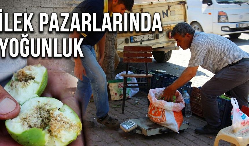 Bu pazarda meyve değil sinek satılıyor (Video)