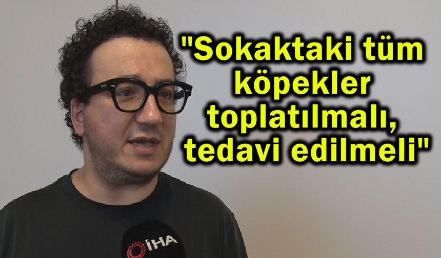 'Köpek saldırılarından sahipleri sorumlu tutulmalı' (Video)