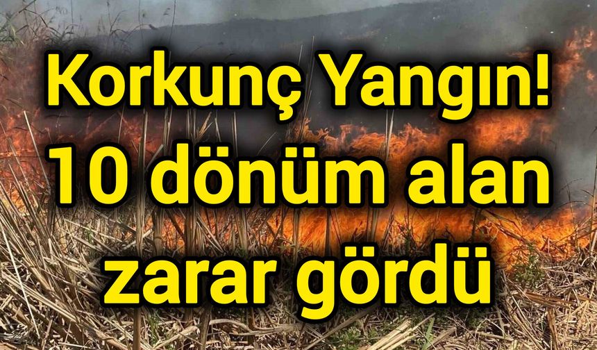Korkunç Yangın! 10 dönüm alan zarar gördü