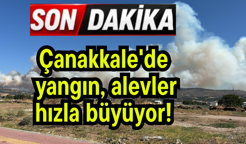 Çanakkale'de yangın, alevler hızla büyüyor!