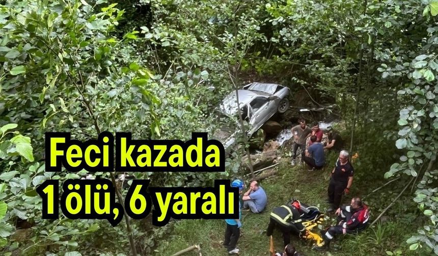 Feci kazada 1 ölü, 6 yaralı