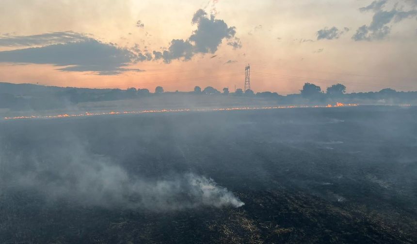 Peş peşe çıkan 5 yangınla ilgili 2 şüpheli tutuklandı
