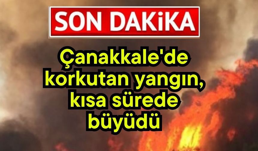 Çanakkale'de korkutan yangın, kısa sürede büyüdü