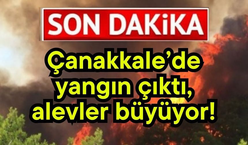 Çanakkale'de yangın çıktı, alevler büyüyor!