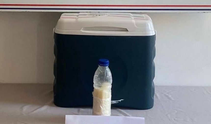 5 milyon dolarlık akrep zehri yakalandı