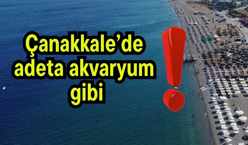 Çanakkale’de adeta akvaryum gibi!