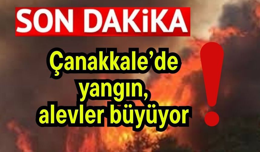 Çanakkale’de yangın, alevler büyüyor!