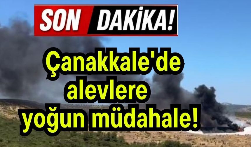Çanakkale'de alevlere yoğun müdahale!
