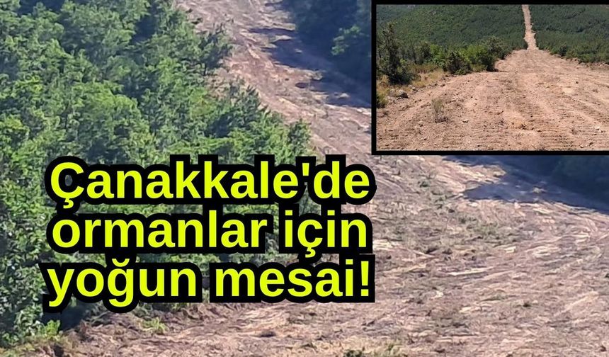 Çanakkale'de ormanlar için yoğun mesai!
